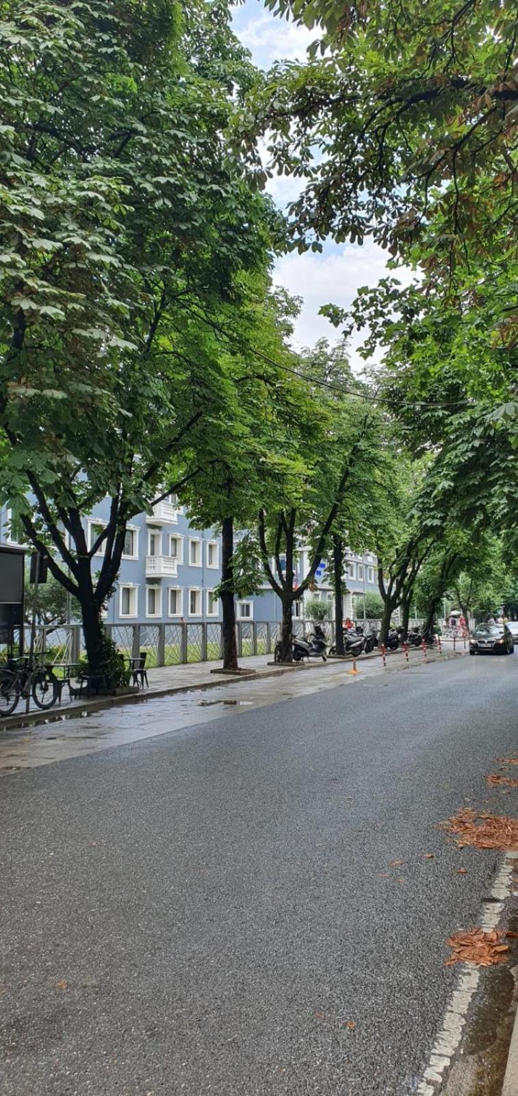 Alle'S M Shyri Studio Apartment Tirana Buitenkant foto